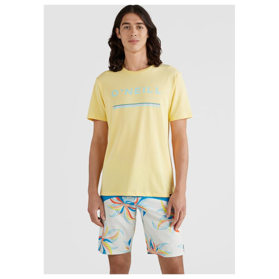 O'neill Ανδρική κοντομάνικη μπλούζα Arrowhead T-Shirt O'neill Ανδρική κοντομάνικη μπλούζα Arrowhead T-Shirt